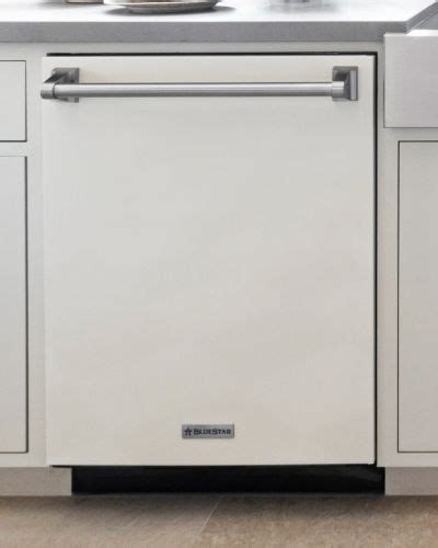 Bluestar Dishwasher Repair in Barrie