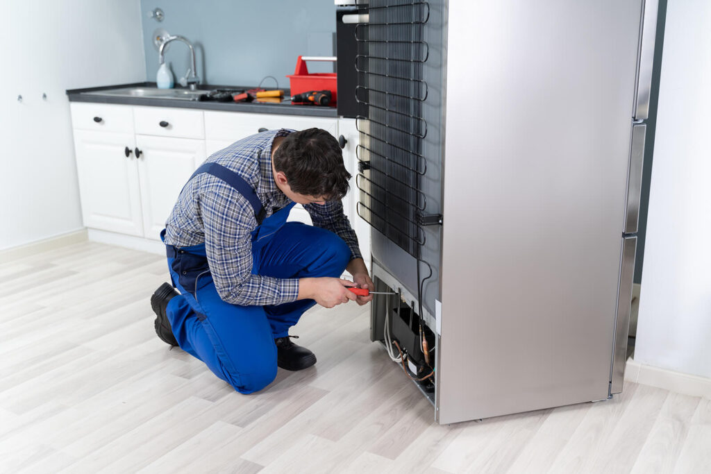 Refrigerator Repair in Borden